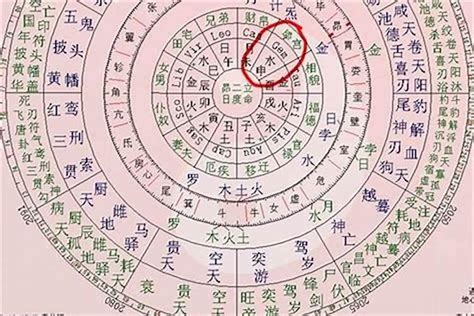 天上火命|八字命宫天上火 (八字中天上火命是什么意思)